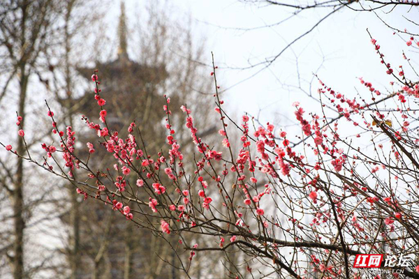 105442ol2ttros7yo9z79f.jpg 105442ol2ttros7yo9z79f.jpg