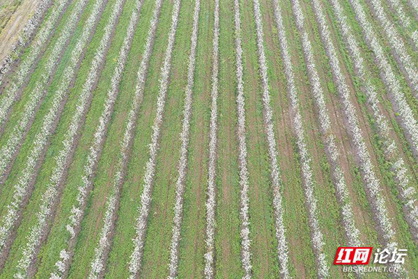 093214x3qd3l9a88791qaq.jpg 093214x3qd3l9a88791qaq.jpg