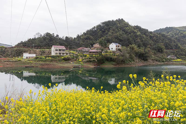 093208rpjpo442p2uoctuc.jpg 093208rpjpo442p2uoctuc.jpg