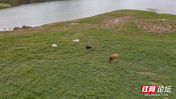 093222gnhccwurs2h2hsin.jpg 093222gnhccwurs2h2hsin.jpg