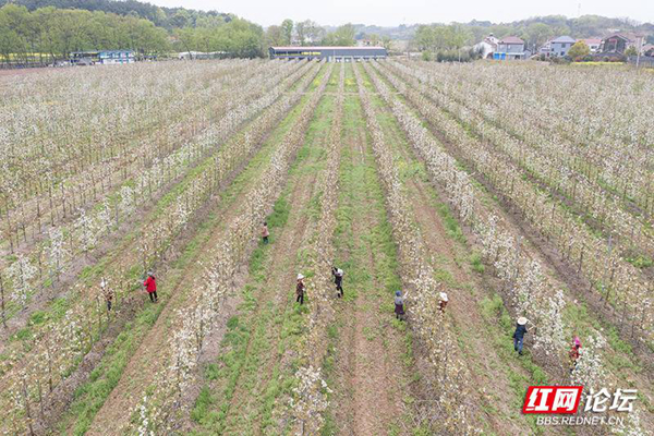 093215kt8y09e3s3ty0ve2.jpg 093215kt8y09e3s3ty0ve2.jpg