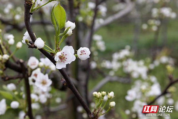 093206oidqtht9z9h4qiij.jpg 093206oidqtht9z9h4qiij.jpg