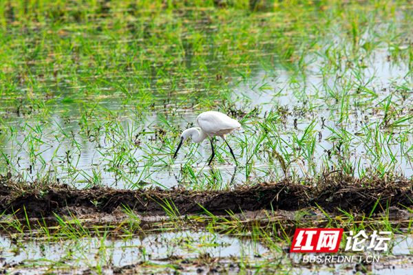 173754rtrjj3d2zss3gd5r.jpg 173754rtrjj3d2zss3gd5r.jpg