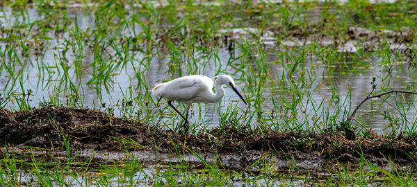 173754llhubrs3rrb3jvzk.jpg 173754llhubrs3rrb3jvzk.jpg