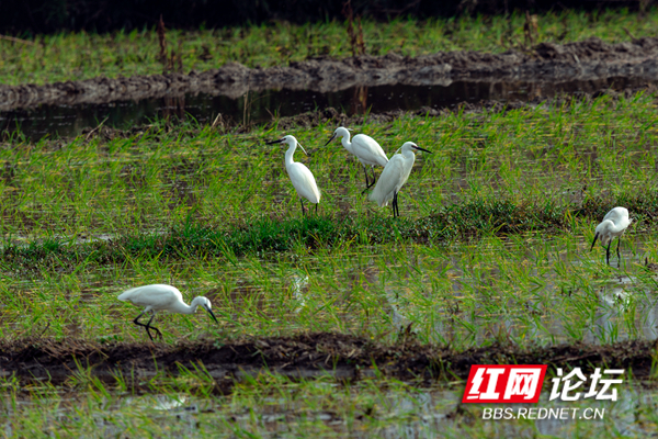 173745f9tfk39h40c9z4ik.jpg 173745f9tfk39h40c9z4ik.jpg