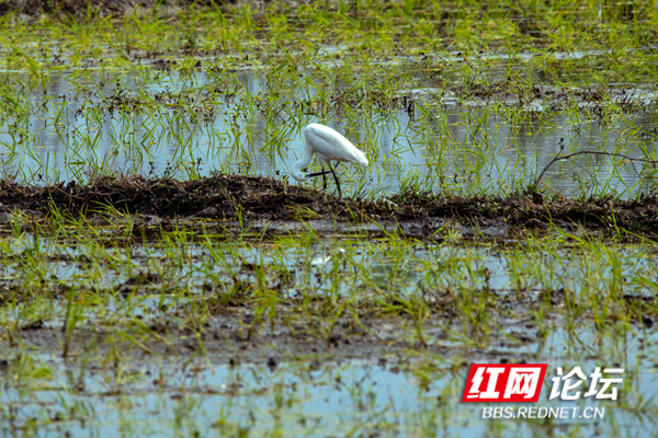 173753virrxkqggck5zxpq.jpg 173753virrxkqggck5zxpq.jpg