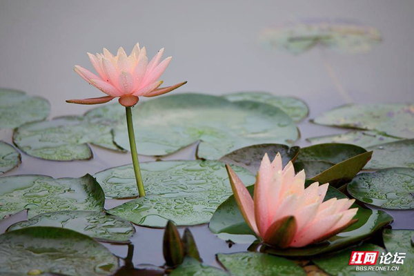 163219d0kgf7wpmks0twgp.jpg 163219d0kgf7wpmks0twgp.jpg