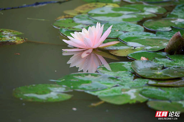 163219ege1vo3vzvk7eek9.jpg 163219ege1vo3vzvk7eek9.jpg