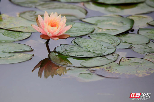 163300mva5pr457la7imm5.jpg 163300mva5pr457la7imm5.jpg