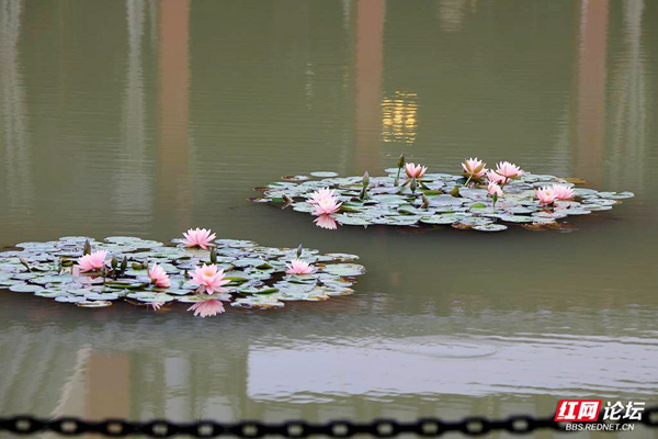 163325pmaptjtohihhojj6.jpg 163325pmaptjtohihhojj6.jpg