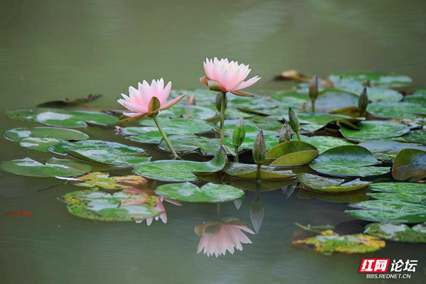 163231loaa3nfdxzn5b3oi.jpg 163231loaa3nfdxzn5b3oi.jpg