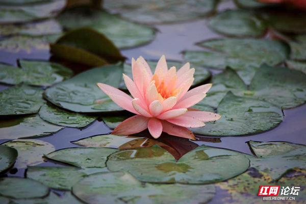 163300ofj91fasr9kfbfoj.jpg 163300ofj91fasr9kfbfoj.jpg