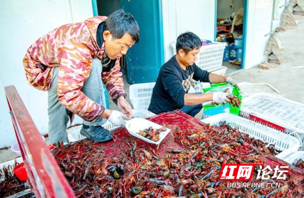 120931zhixshyiehlzseis_副本.jpg 120931zhixshyiehlzseis_副本.jpg