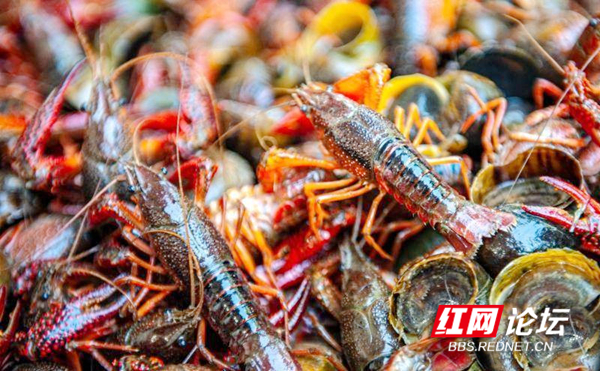 120919oubnbf9jjrr9j4rq_副本.jpg 120919oubnbf9jjrr9j4rq_副本.jpg