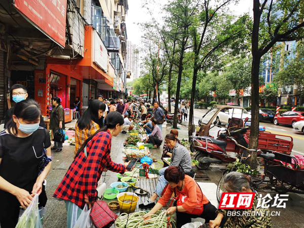 110313zktdbpjtq0jdvdp0.jpg 110313zktdbpjtq0jdvdp0.jpg