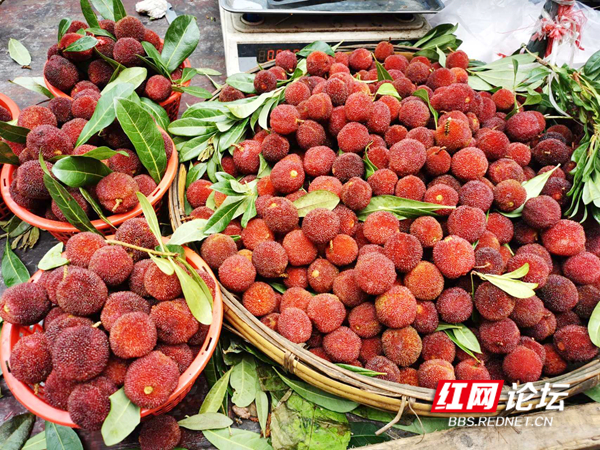 110248gwegczgyygzlldgb.jpg 110248gwegczgyygzlldgb.jpg