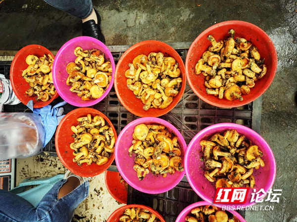 110304gk8p8ig6161e51y1.jpg 110304gk8p8ig6161e51y1.jpg