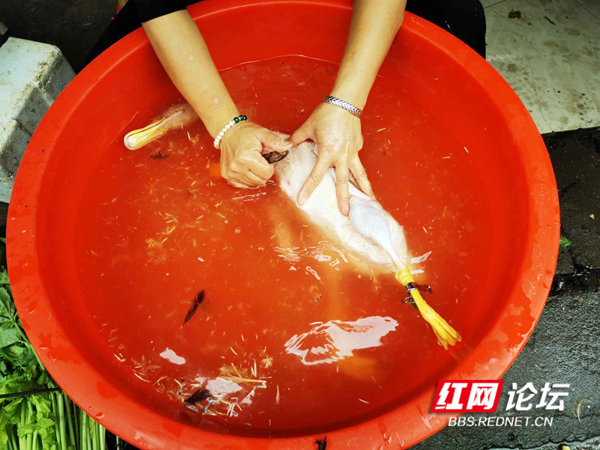 110255gbcwb95nbb5mbb55.jpg 110255gbcwb95nbb5mbb55.jpg