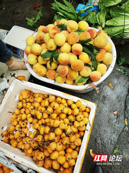 110300s4r4wy2391002ed2.jpg 110300s4r4wy2391002ed2.jpg