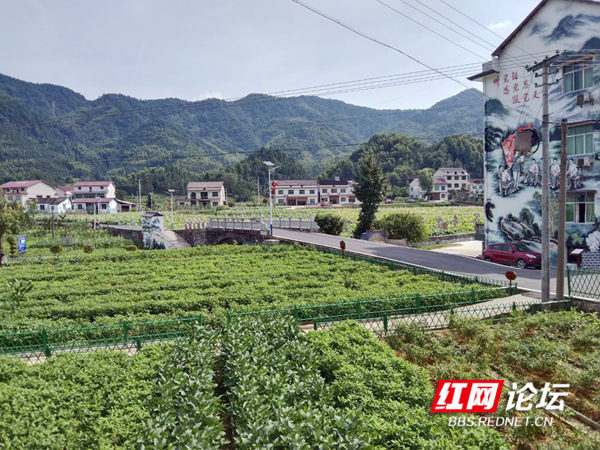 微信图片_20220718095100.jpg 微信图片_20220718095100.jpg