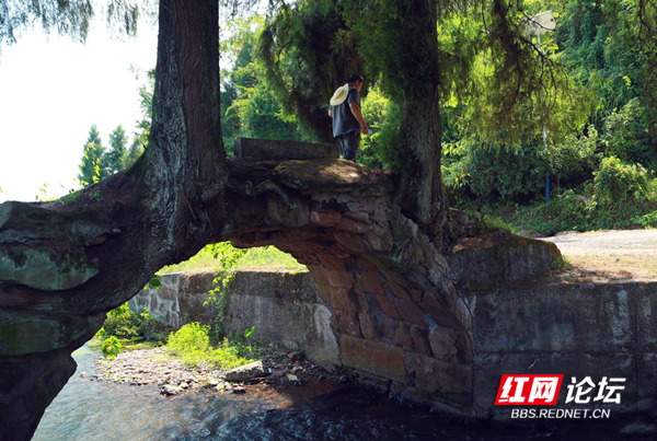 122420shgpjpbfvixugddx_副本.jpg 122420shgpjpbfvixugddx_副本.jpg