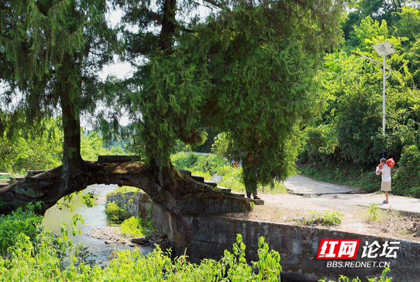 121057a4fv29jqjuwf101w_副本.jpg 121057a4fv29jqjuwf101w_副本.jpg