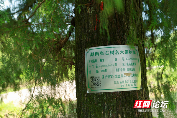 121954bzgo3dv19n3yvn0p_副本.jpg 121954bzgo3dv19n3yvn0p_副本.jpg