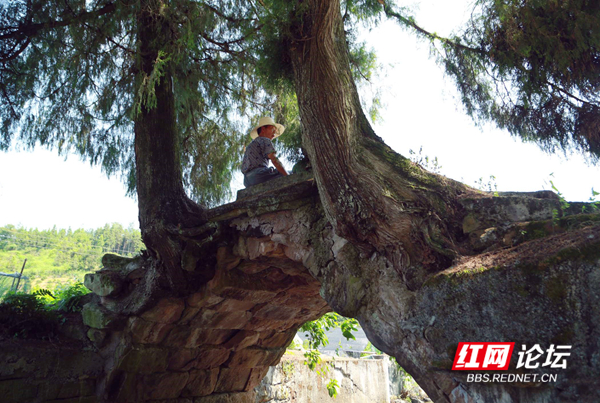 122545k3uujzszumaaa4yp_副本.jpg 122545k3uujzszumaaa4yp_副本.jpg