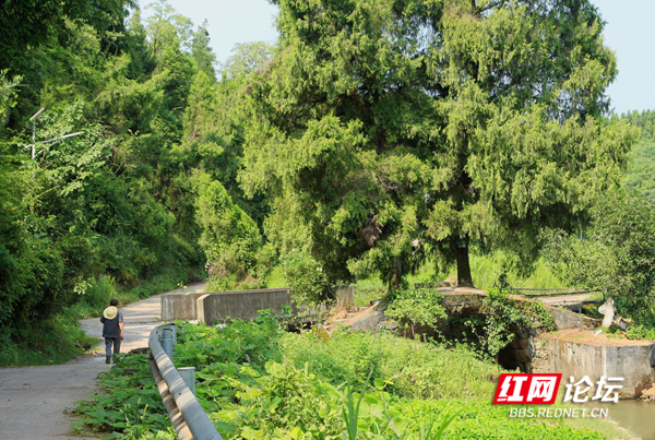 120325g77kg999ip1939u9_副本.jpg 120325g77kg999ip1939u9_副本.jpg