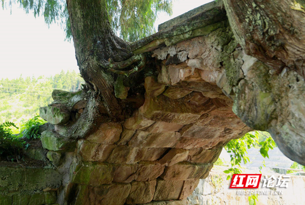 123231onw3yazw1dtentdm_副本.jpg 123231onw3yazw1dtentdm_副本.jpg