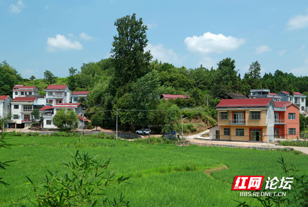 115906var4zanxddooqx1v_副本.jpg 115906var4zanxddooqx1v_副本.jpg