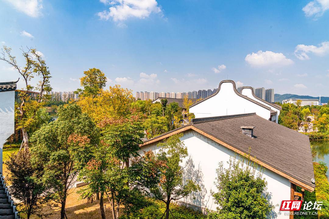 192557ab44zo0bttct7ee1.jpg 192557ab44zo0bttct7ee1.jpg