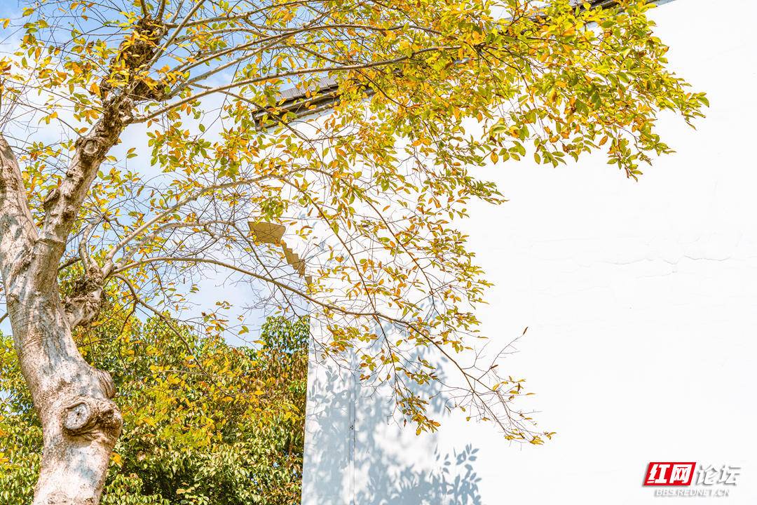 192629iioj0bszi6lsgio9.jpg 192629iioj0bszi6lsgio9.jpg