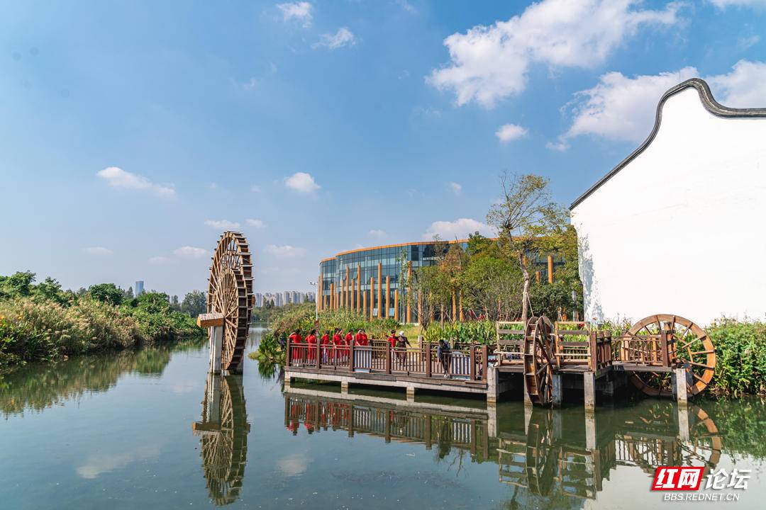 192559vb3s46essxx4boww.jpg 192559vb3s46essxx4boww.jpg