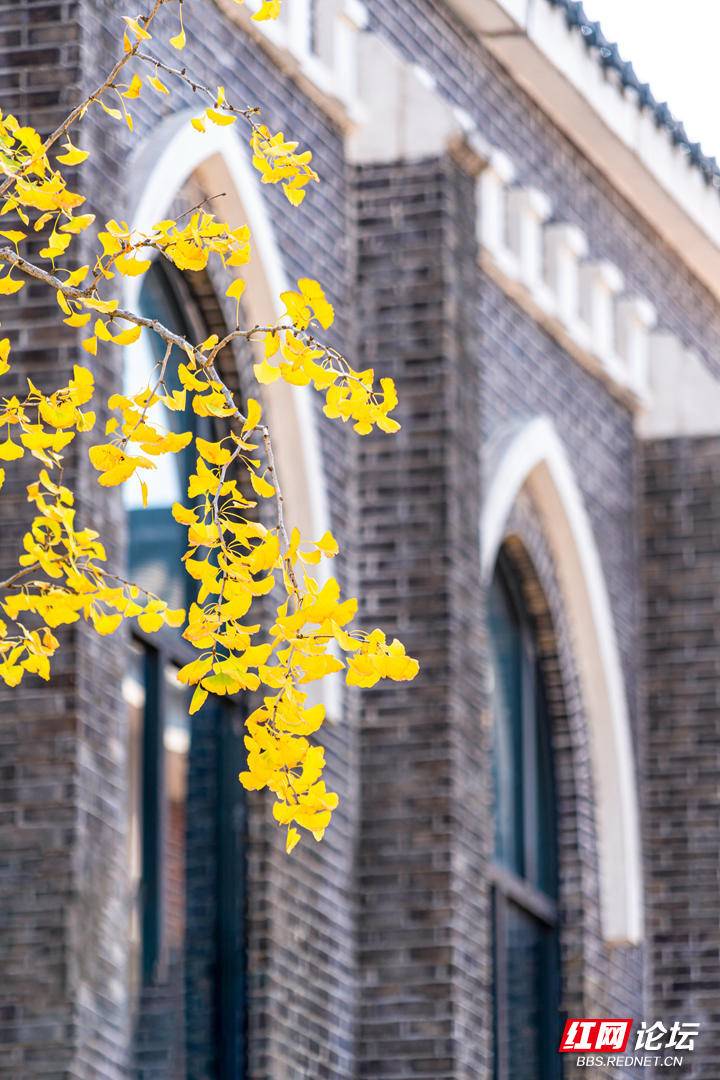 192630qgcvrfllrueyh87i.jpg 192630qgcvrfllrueyh87i.jpg