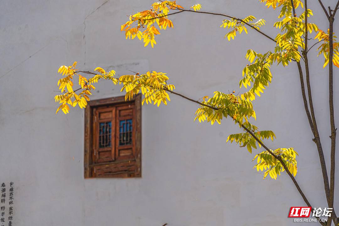 192452xl969q9dl5at9x7m.jpg 192452xl969q9dl5at9x7m.jpg