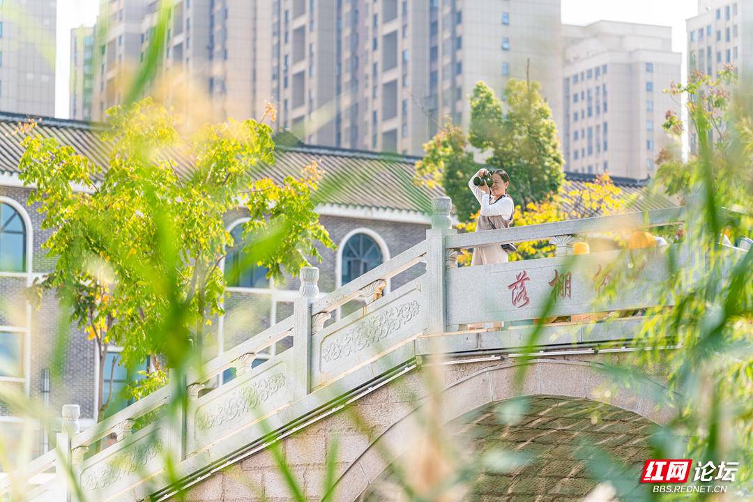 192451uvojjckvc9koze90.jpg 192451uvojjckvc9koze90.jpg