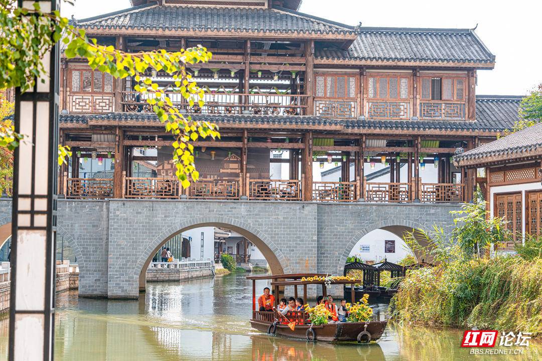 192529tb96xg1gaf6f706g.jpg 192529tb96xg1gaf6f706g.jpg