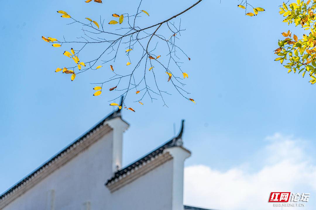 192629qubq2ot0bs672t1b.jpg 192629qubq2ot0bs672t1b.jpg