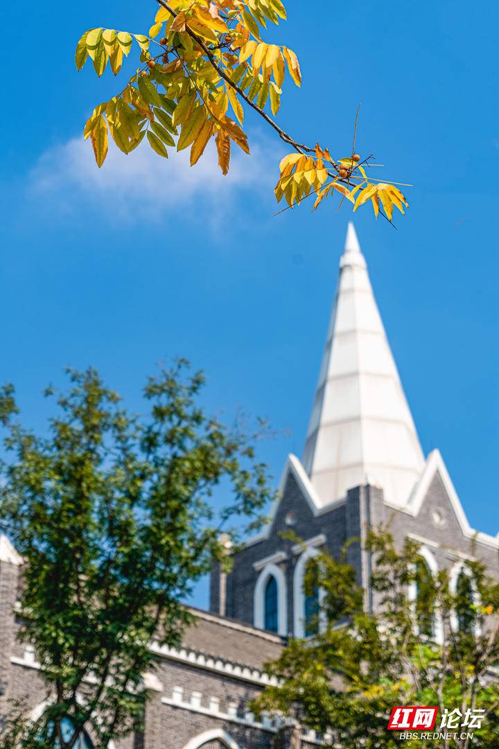 192527h4bq3x4mberjrb6q.jpg 192527h4bq3x4mberjrb6q.jpg