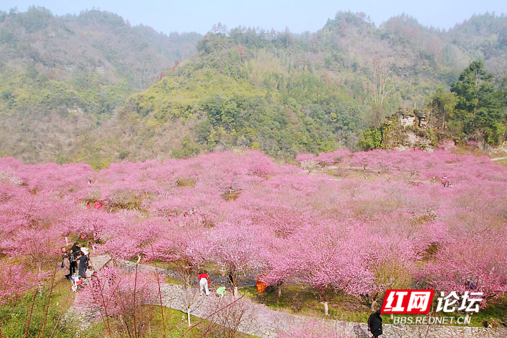 134508gslfp2lraug9cuyn_副本.jpg 134508gslfp2lraug9cuyn_副本.jpg