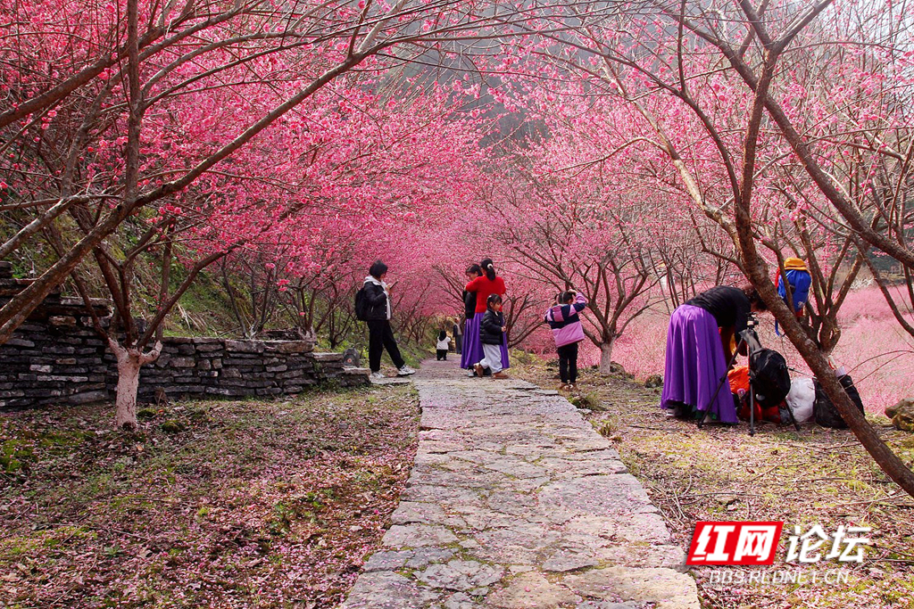 132636e1xtjz1t8mer8gv1_副本.jpg 132636e1xtjz1t8mer8gv1_副本.jpg