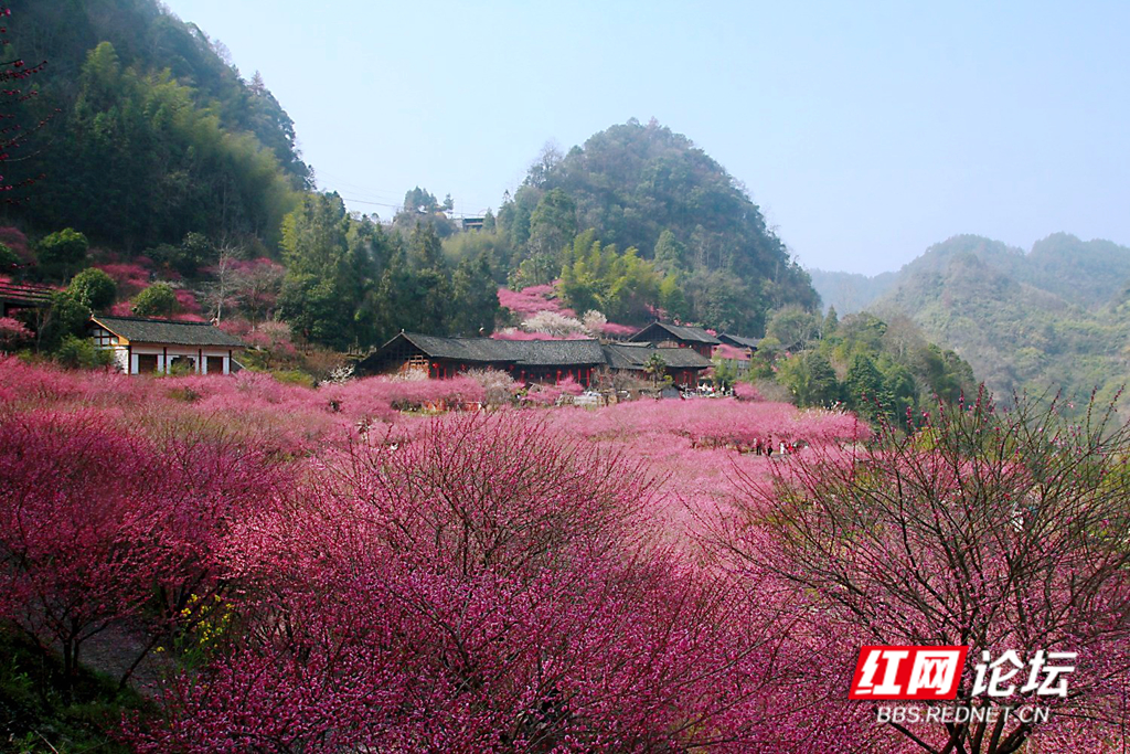 134424fvohdxpepx7pbx5l_副本.jpg 134424fvohdxpepx7pbx5l_副本.jpg