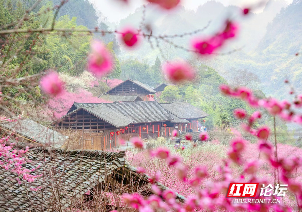 134739qfezh9sews7pz4sv.jpg 134739qfezh9sews7pz4sv.jpg