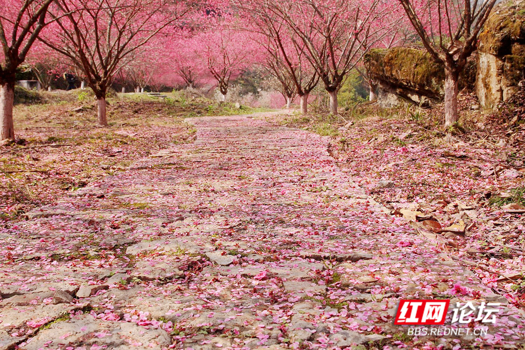 134804gsnjik0mej7kyjjy_副本.jpg 134804gsnjik0mej7kyjjy_副本.jpg