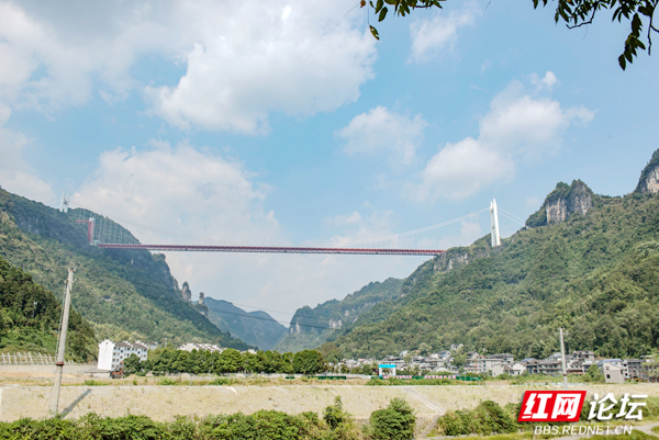 102119nzhlhrin110jysds.jpg 102119nzhlhrin110jysds.jpg