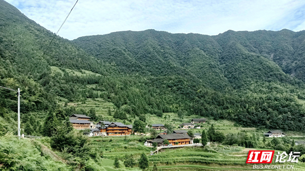  避暑去哪儿⑤丨九龙潭寻夏日清凉田园