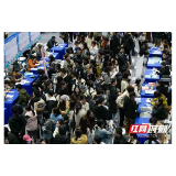 青椒评论丨拳拳盛意至津门,盼得贤才入潇湘