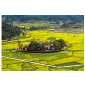 以场景创新推动文旅产业高质量发展