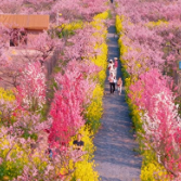 好评中国丨Color Walk,为城市活力创新“上色”